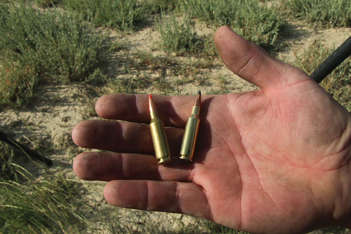 On a recent Wyoming prairie dog shoot, Justin Stout shot the 22 ARC (left), while the author shot the 224 Valkyrie (right).